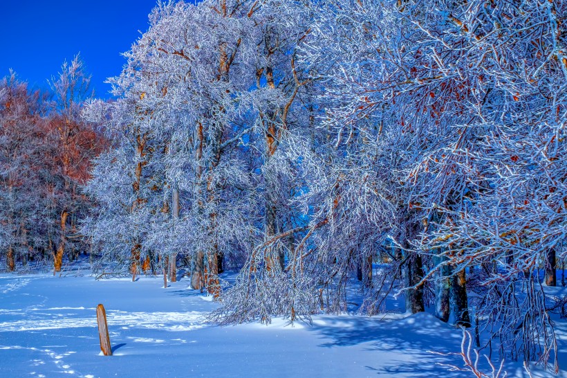 迷人唯美的雪景圖片