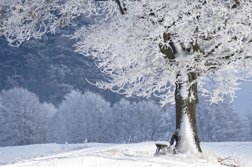 迷人唯美的雪景圖片