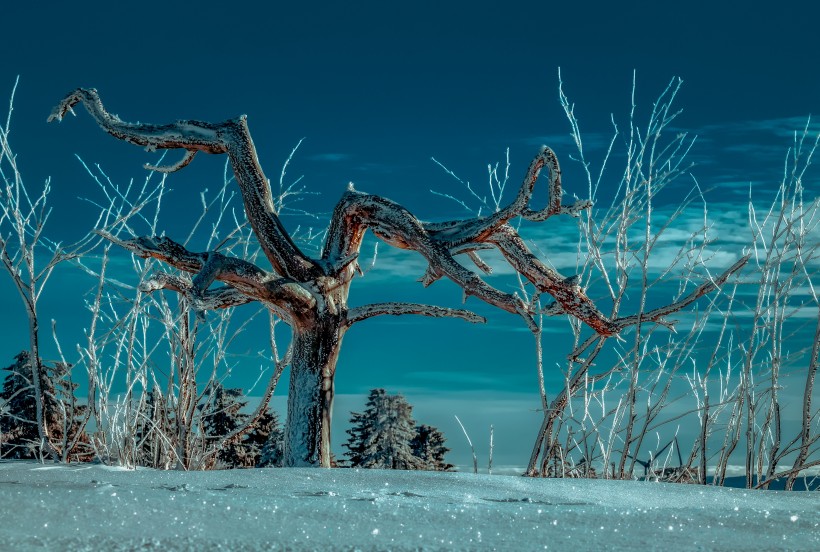 冬季皚皚白雪唯美風景圖片