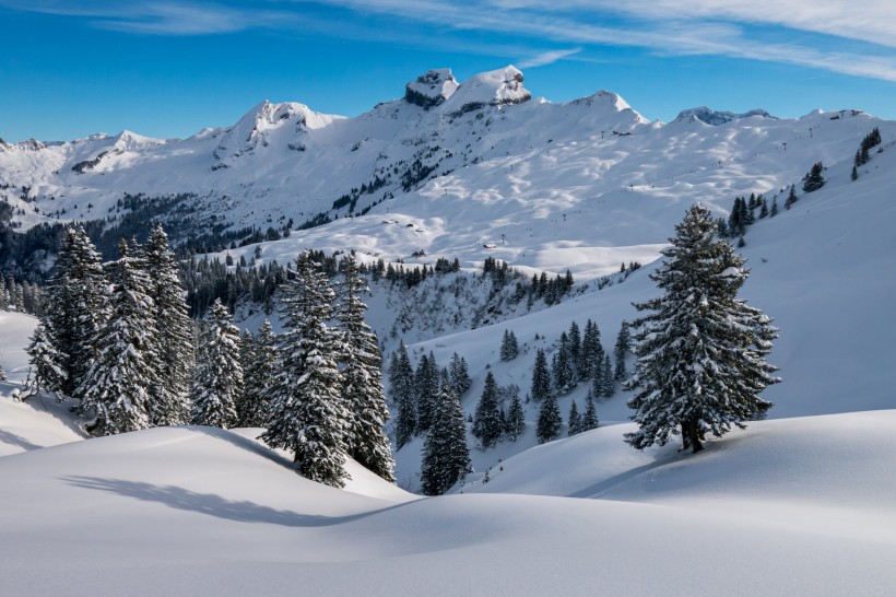 冬季皚皚白雪唯美風景圖片