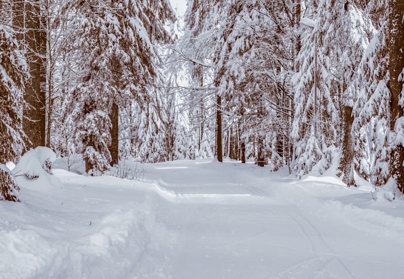 冬季皚皚白雪唯美風景圖片