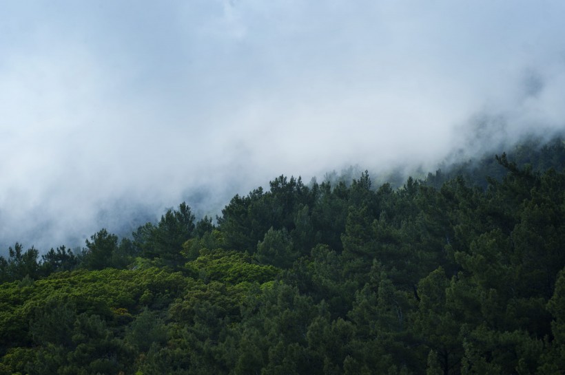 山間薄霧風景圖片