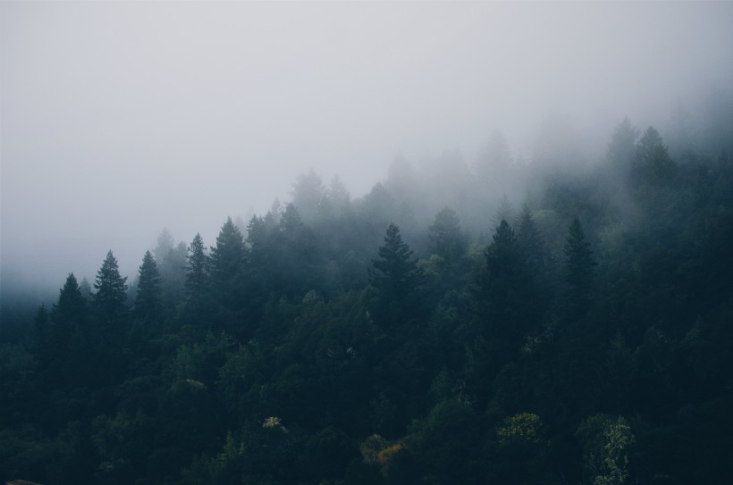 山間薄霧風景圖片