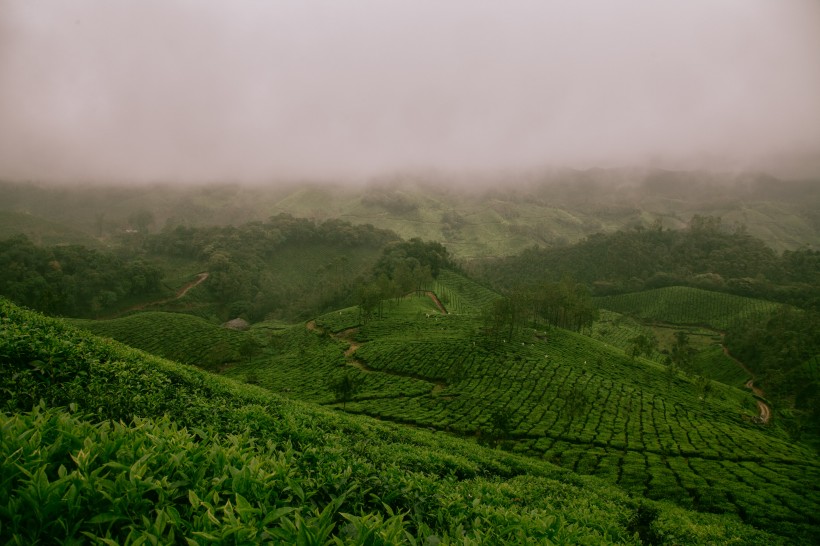 山間薄霧風景圖片