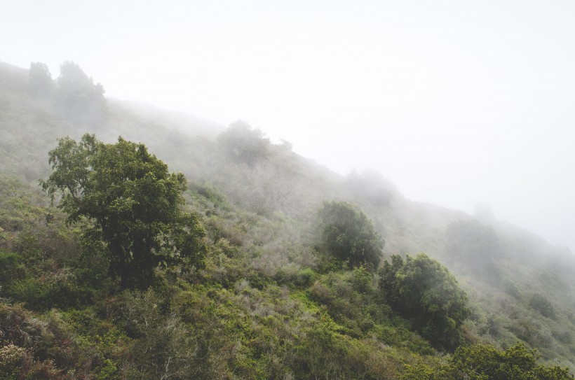 山間薄霧風景圖片