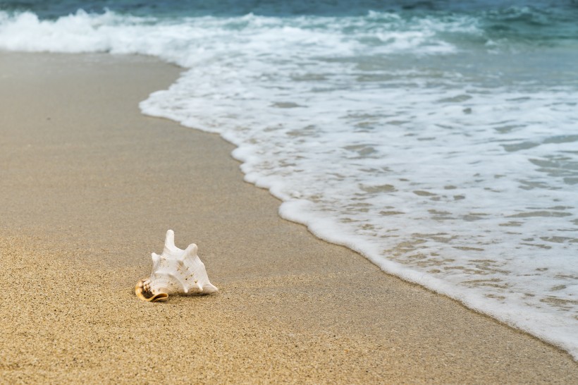 波濤湧洶的海浪風景圖片