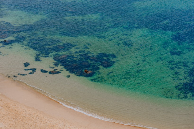 澳大利亞的海灘圖片