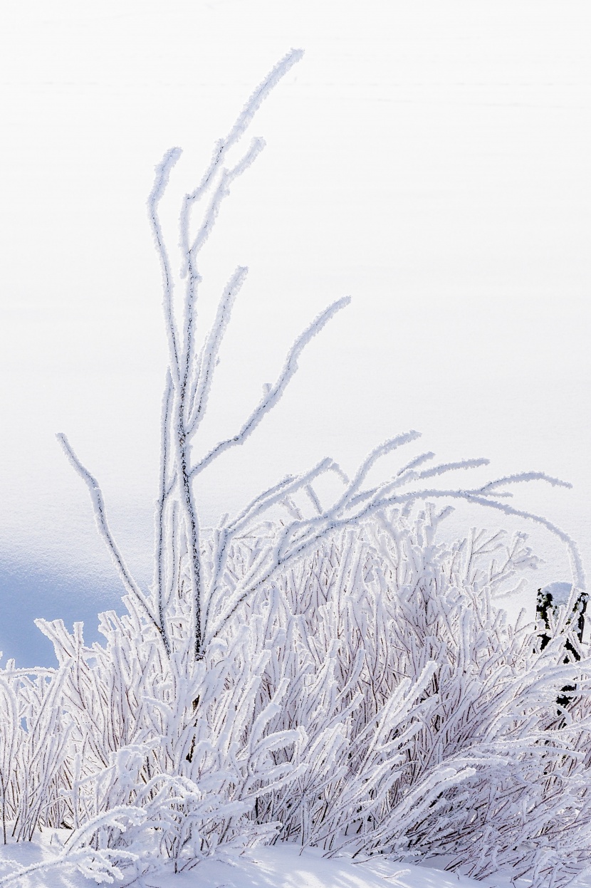 寒冬雪景圖片