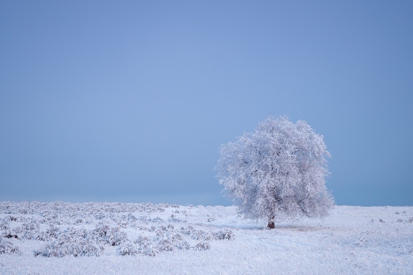 寒冬雪景圖片