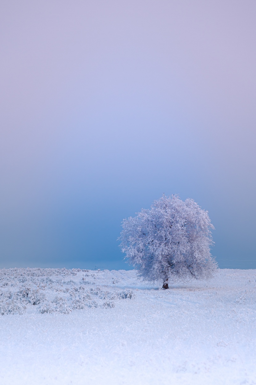 寒冬雪景圖片