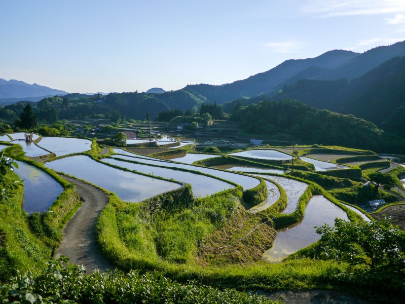 層疊的梯田風景圖片