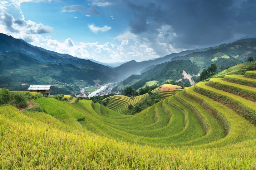 層疊的鄉村梯田風景圖片