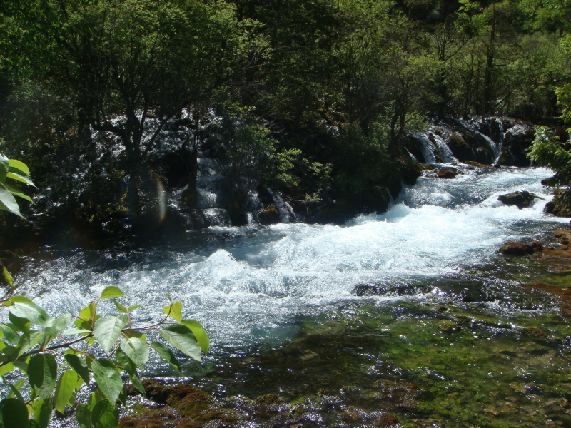 森林小溪山間流水圖片