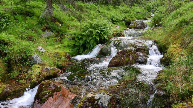 森林小溪山間流水圖片