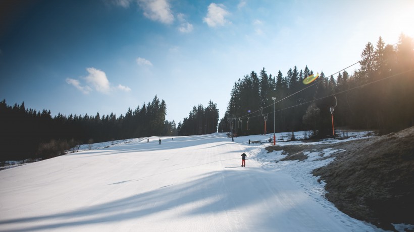 樹林雪後風景圖片