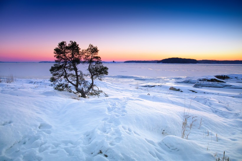 純淨的雪景圖片