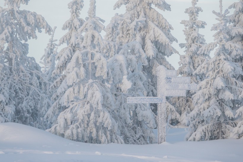 唯美冬季雪景風景圖片