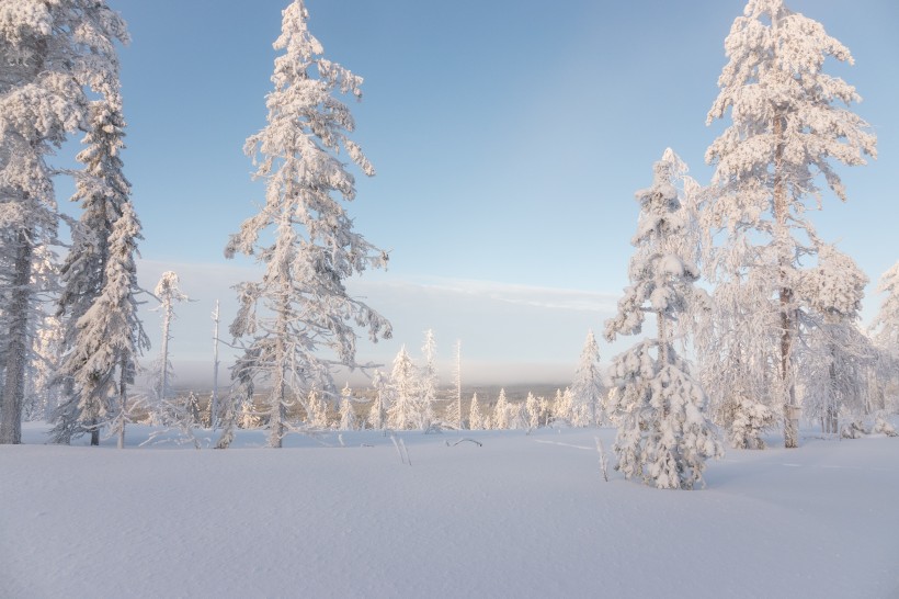 唯美冬季雪景風景圖片