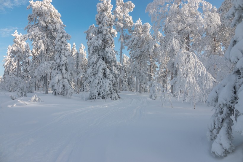 唯美冬季雪景風景圖片