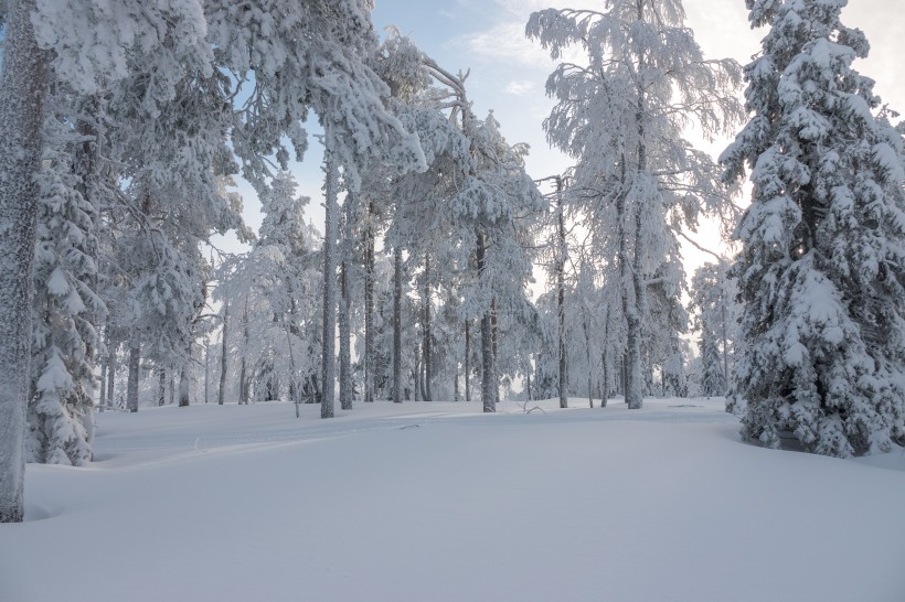 唯美冬季雪景風景圖片