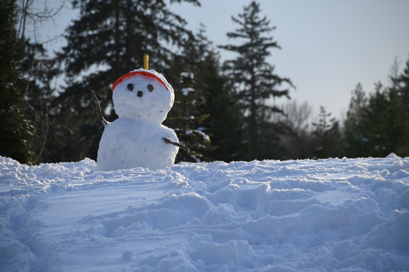 冬季造型獨特的雪人圖片