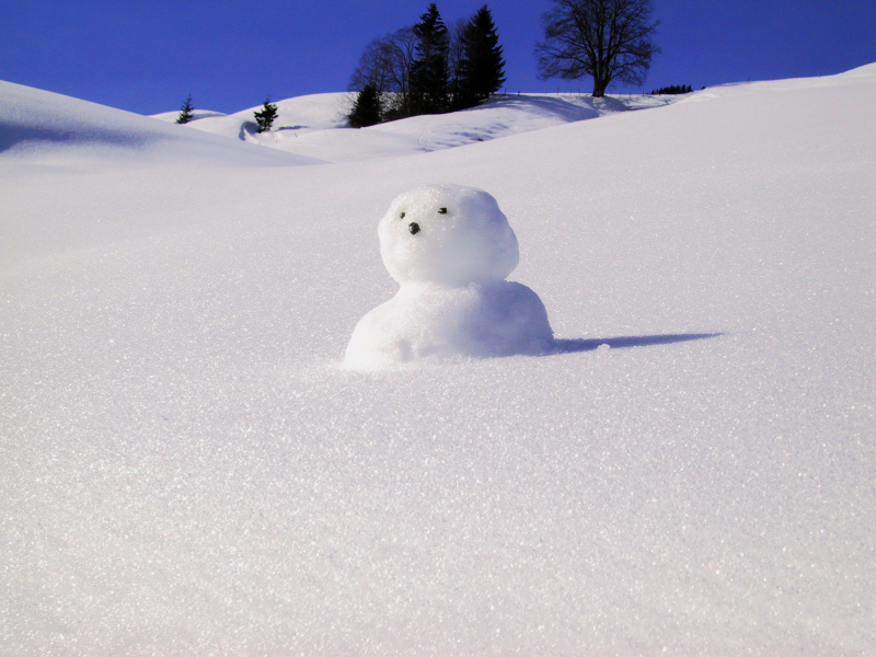 冬季雪人圖片