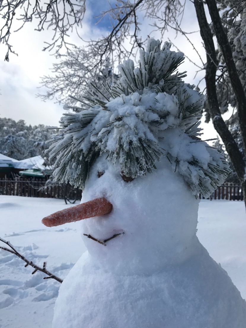 冬季雪人圖片