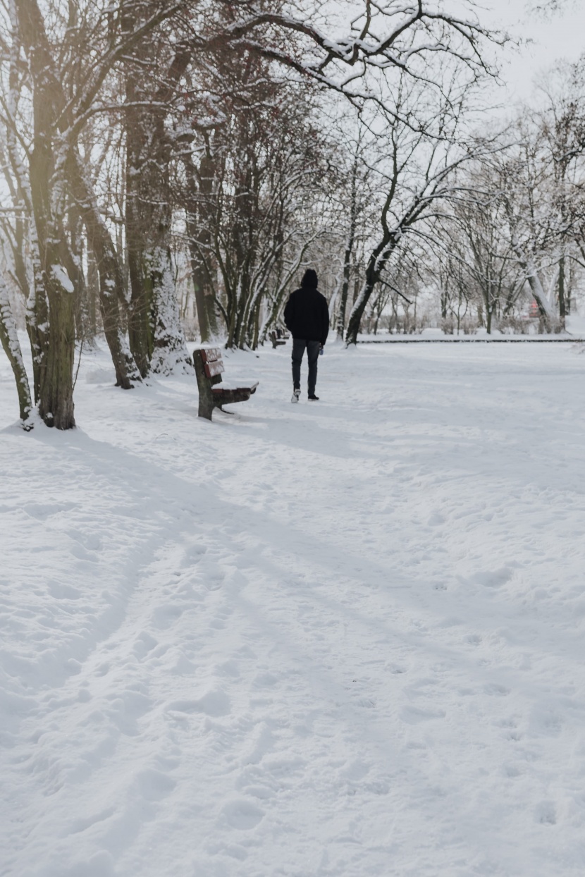 冬季白雪覆蓋的公園圖片