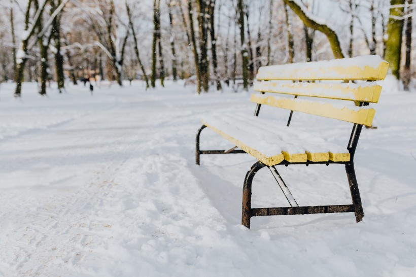 冬季白雪覆蓋的公園圖片