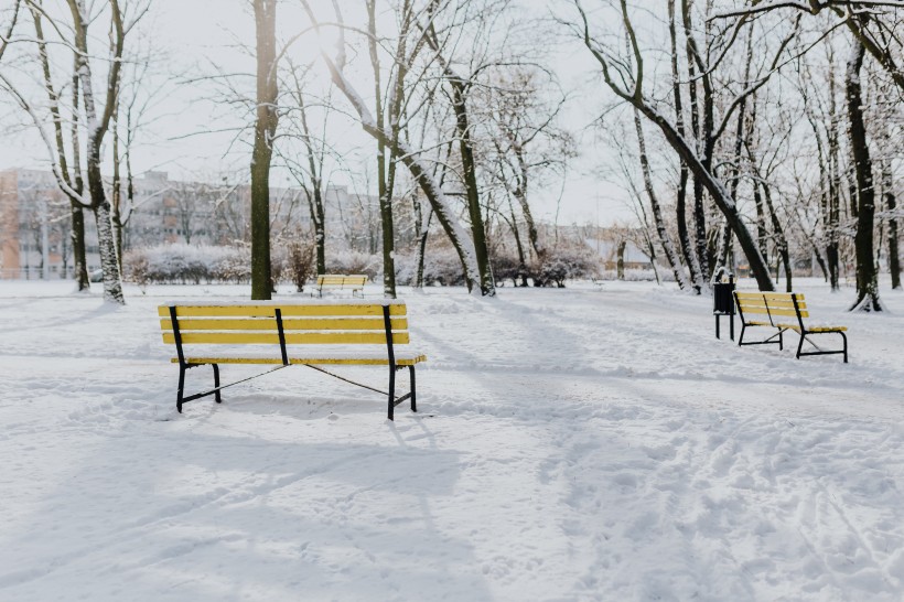 冬季白雪覆蓋的公園圖片