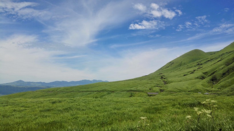 綠色遼闊的草原風景圖片