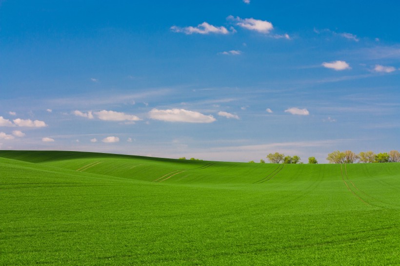 藍天白雲下綠色遼闊的草原風景圖片