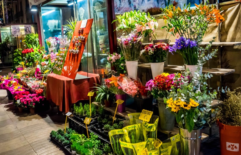 美麗的花店鮮花圖片