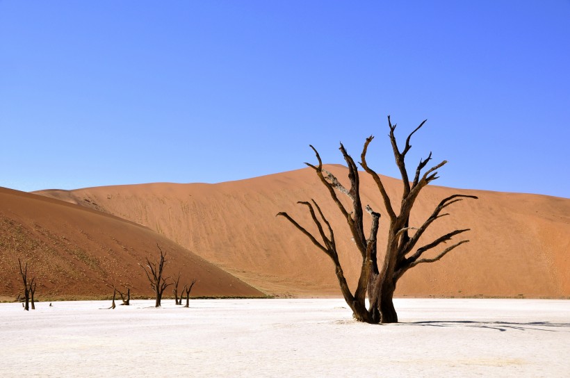 寬廣無垠的沙漠風景圖片