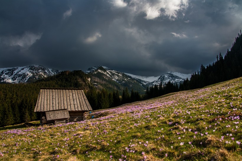 靜谧的山間小屋圖片