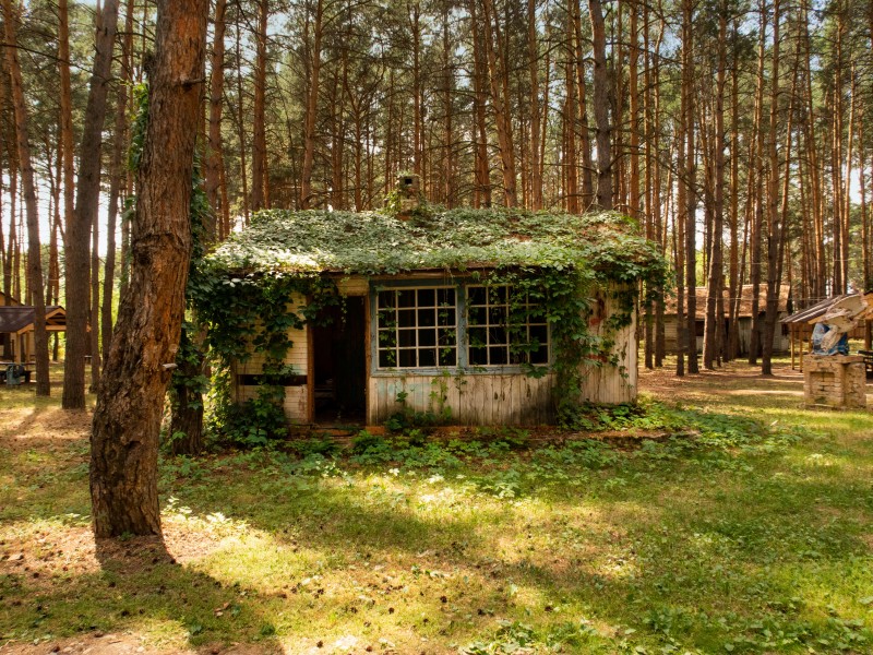 靜谧的山間小屋圖片