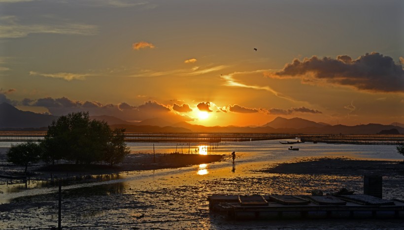 海邊灘塗風景圖片