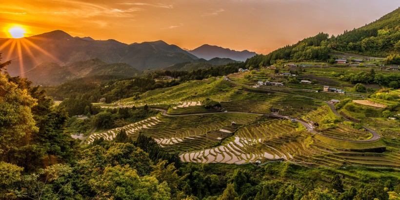 層疊的綠色梯田風景圖片