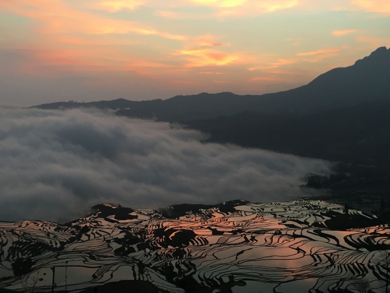 廣闊唯美的梯田風景圖片