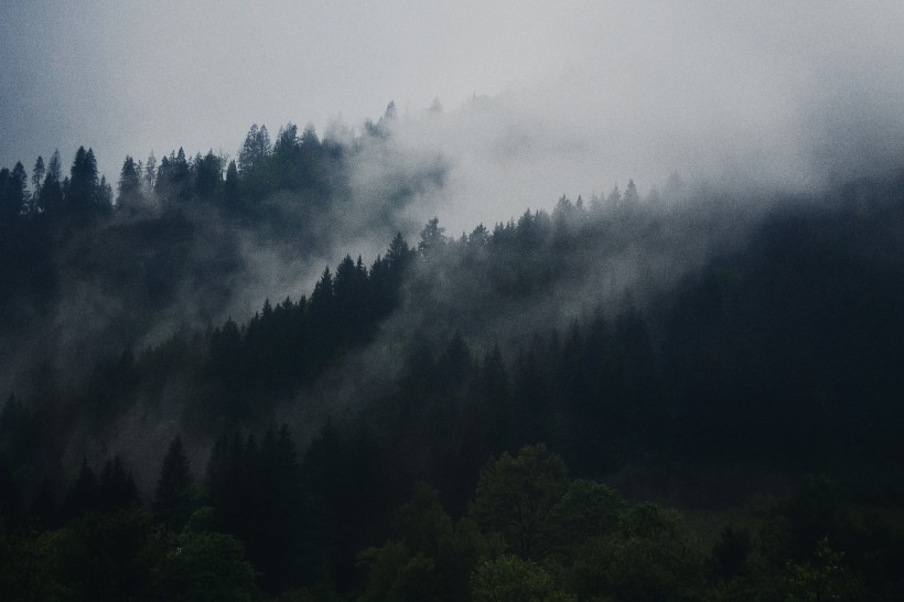 霧氣彌漫的山林圖片