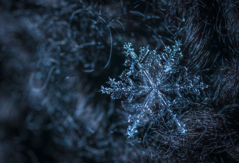 晶瑩剔透的雪花圖片