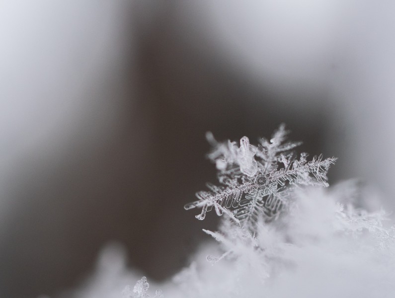 晶瑩剔透的雪花圖片