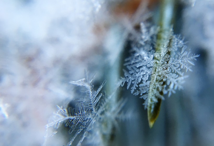 晶瑩剔透的雪花圖片