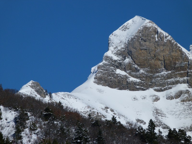 冬季的皚皚白雪風景圖片