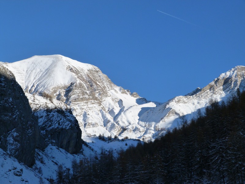 冬季的皚皚白雪風景圖片