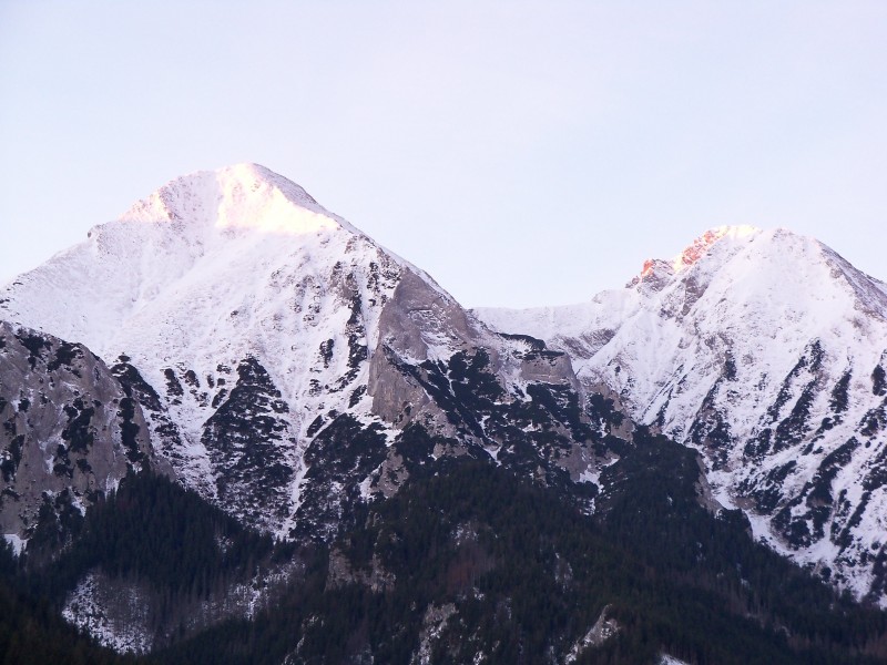 冬季的皚皚白雪風景圖片