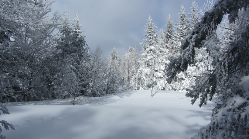 冬季的皚皚白雪風景圖片