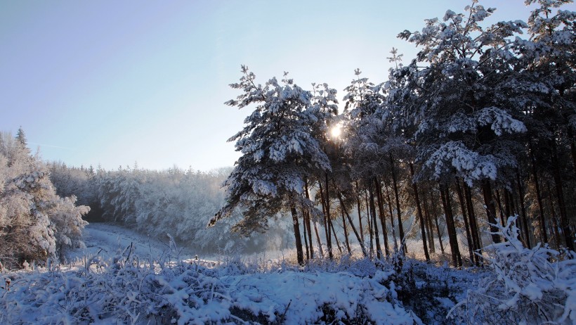 冬季的皚皚白雪風景圖片