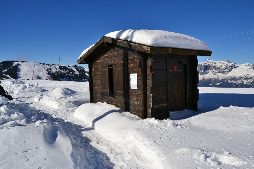 冬季的皚皚白雪風景圖片