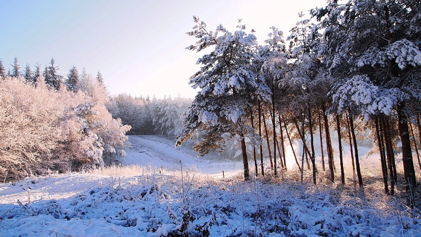 冬季的皚皚白雪風景圖片